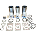 IN-FRAME ENGINE OVERHAUL KIT FOR AGRI-POWER Z5001 - 5000