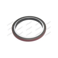 Front Seal for Case-IH
