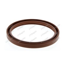 Rear Seal for Case-IH