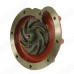 Water Pump for Case - IH