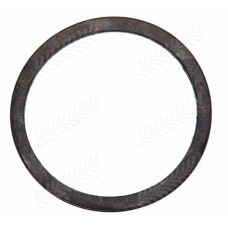 Thermostat Gasket for Fiat
