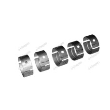Main Bearing Set - .010" for Case-IH