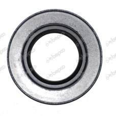 Oil Seal for Case - IH