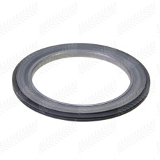 Oil Seal for Massey Ferguson