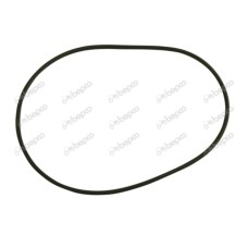 Oil Seal for Massey Ferguson