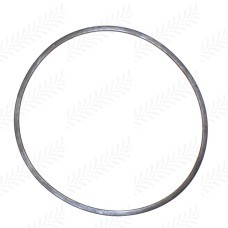 O-Ring for Case - IH