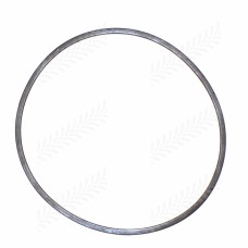 O-Ring for Case - IH
