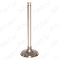 Intake Valve for Massey Ferguson