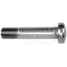 Rim/Disk Bolt for Case - IH