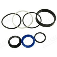 Ram Seal Kit for Massey Ferguson