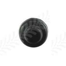 Switch for Case - IH