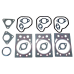 MAJOR ENGINE OVERHAUL KIT FOR AGRI-POWER Z5001 - 5000