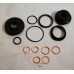 Power Steering Cylinder Seal Kit (55113940) for Zetor Tractor